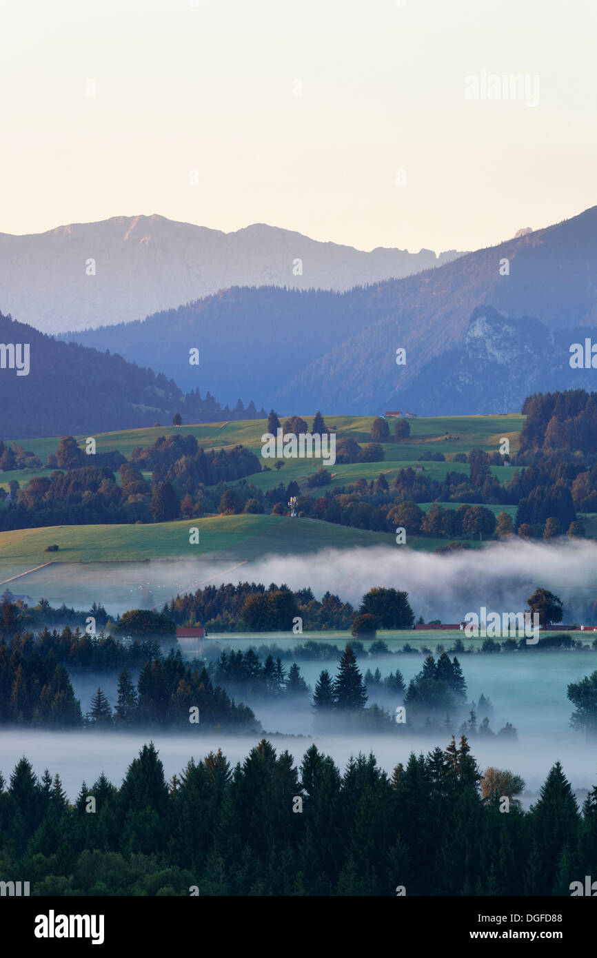 Paesaggio alpino, Foreland Atmosfera mattutina con la nebbia, Schönberg, Rottenbuch, Pfaffenwinkel regione, Alta Baviera, Baviera Foto Stock