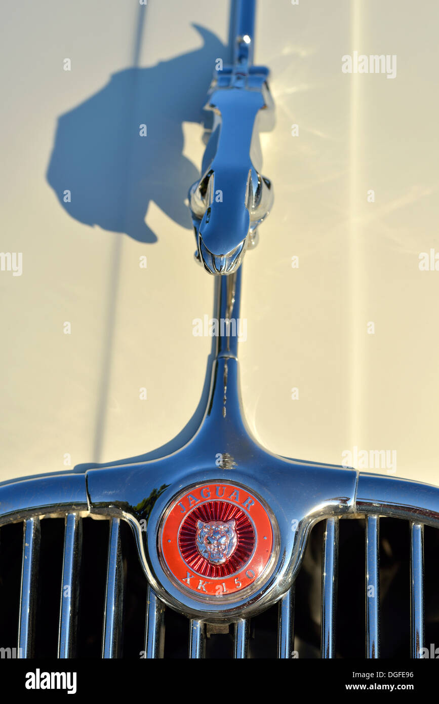 1957 Jaguar XK 150 Drophead Coupé Foto Stock