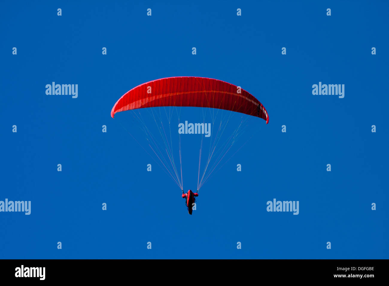 Le strutture ricreative e competitivo sport di avventura di battenti parapendii. Foto Stock