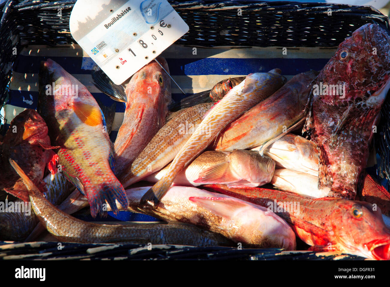 Marsiglia - pesce al mercato del pesce Foto Stock