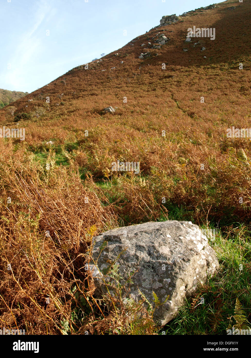 Bracken in autunno e la Valle delle rocce, Exmoor, Devon, Regno Unito Foto Stock