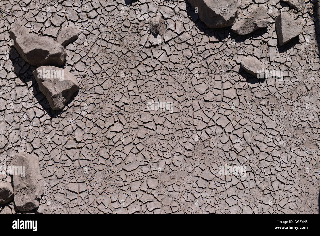 Incrinati argilla secca con rocce Foto Stock