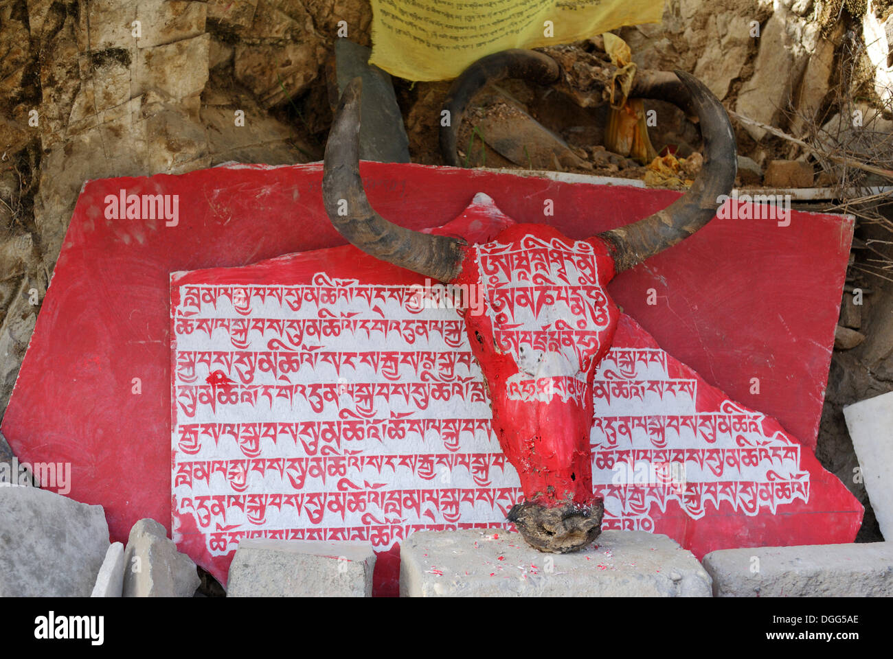 Dipinto di rosso cranio animale con caratteri tibetano, Monastero Tashilhunpo, Shigatse, nel Tibet, Cina, Asia Foto Stock