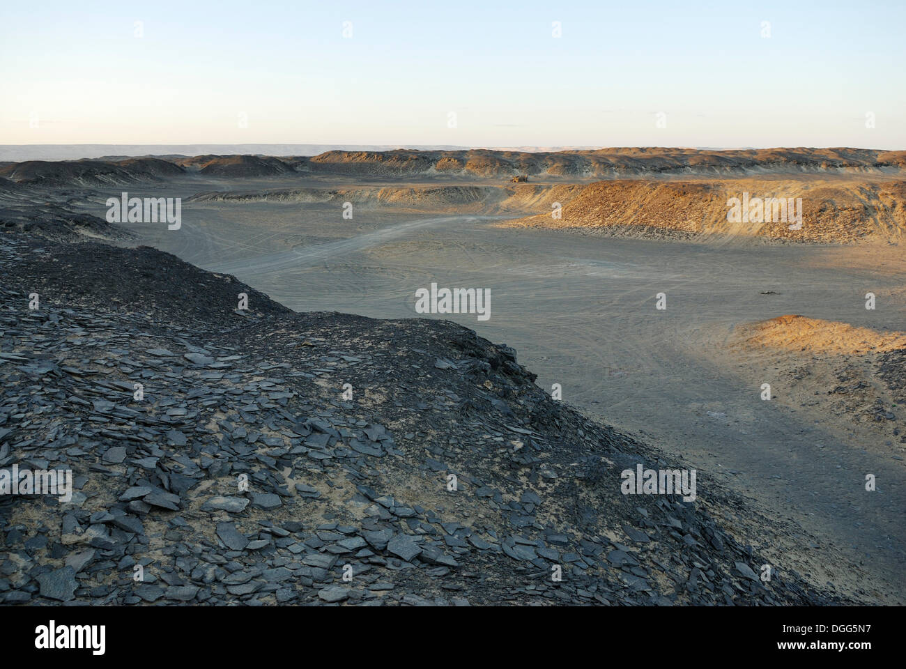 Oasi Bahariya, Western Desert, Egitto, Africa Foto Stock