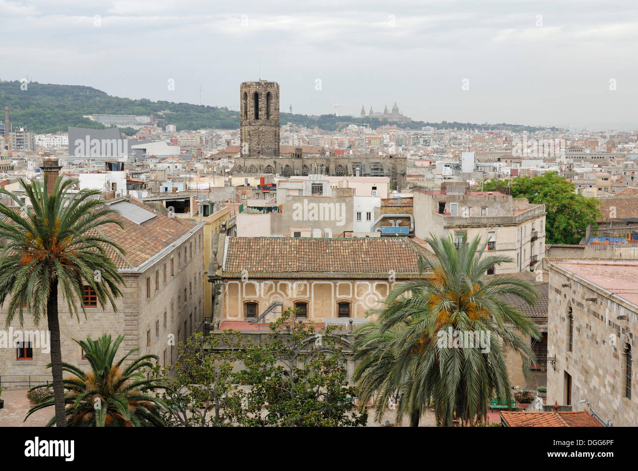 Vista dal tetto del La Catedral de la Santa Creu i Santa Eulalia, la Cattedrale di Santa Croce e di Santa Eulalia Foto Stock