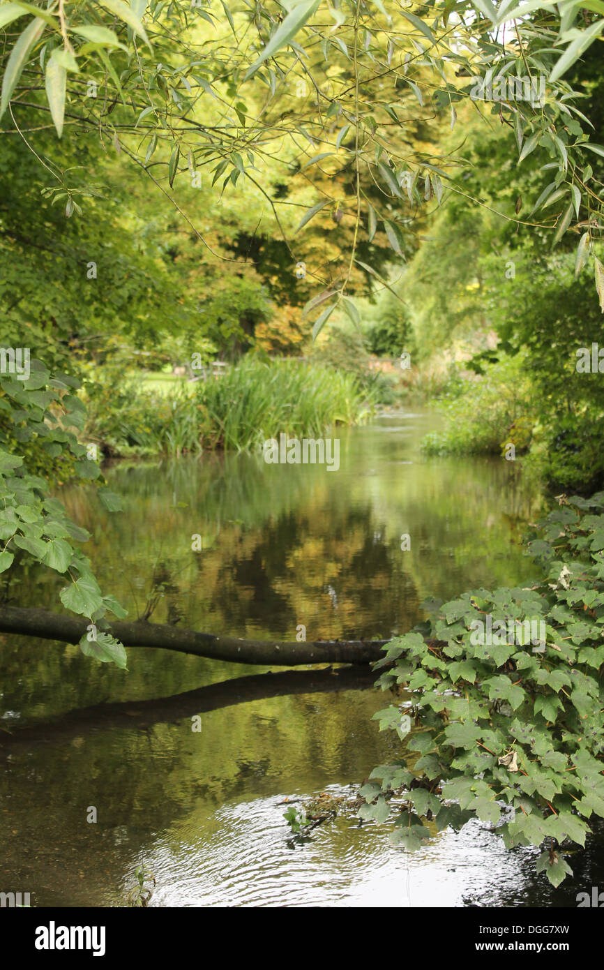 Autunno riflessioni nel fiume Meon, Meonstoke, Hampshire, Regno Unito Foto Stock