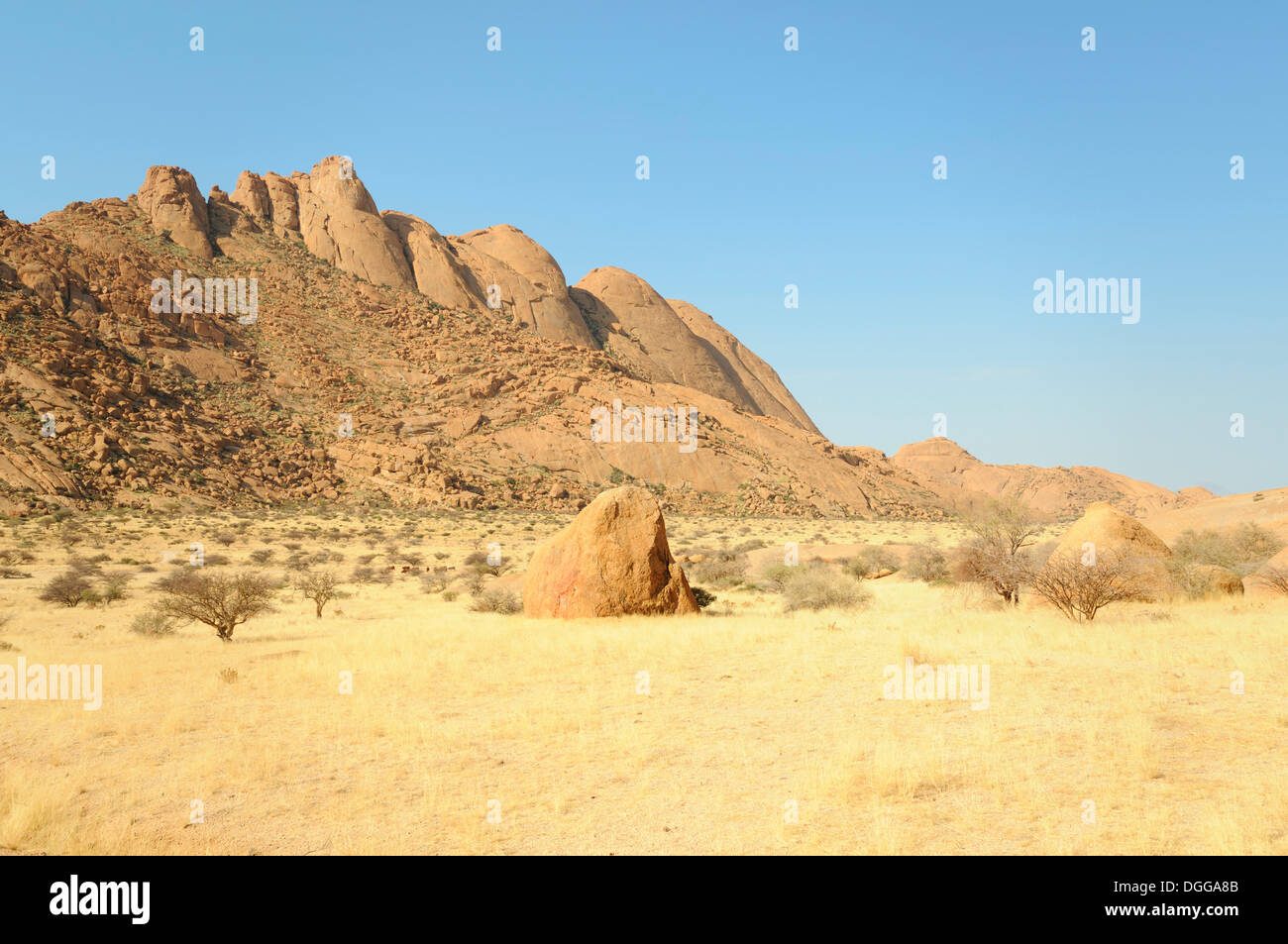 Savana paesaggio con rocce granitiche e montagna Spitzkoppe, montagne Pontok Große Spitzkuppe Riserva Naturale, Namibia Foto Stock