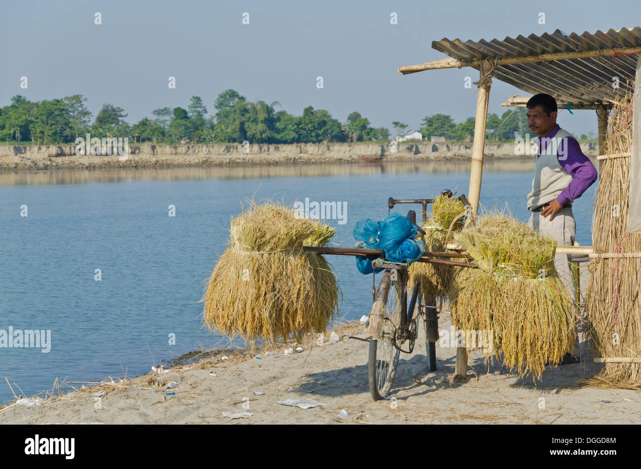 Uomo in attesa per il traghetto per trasportare riso raccolto culms sulla sua bicicletta, Brahmaputra Valley, India, Asia Foto Stock