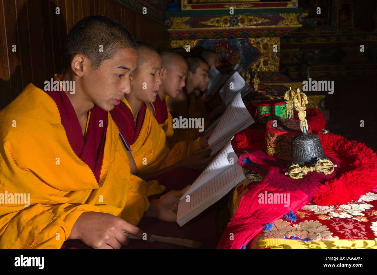 I giovani monaci tibetani la lettura della Sacra Scrittura nella lingua tibetana nel monastero vicino Boudnath Stupa, Valle di Kathmandu Foto Stock