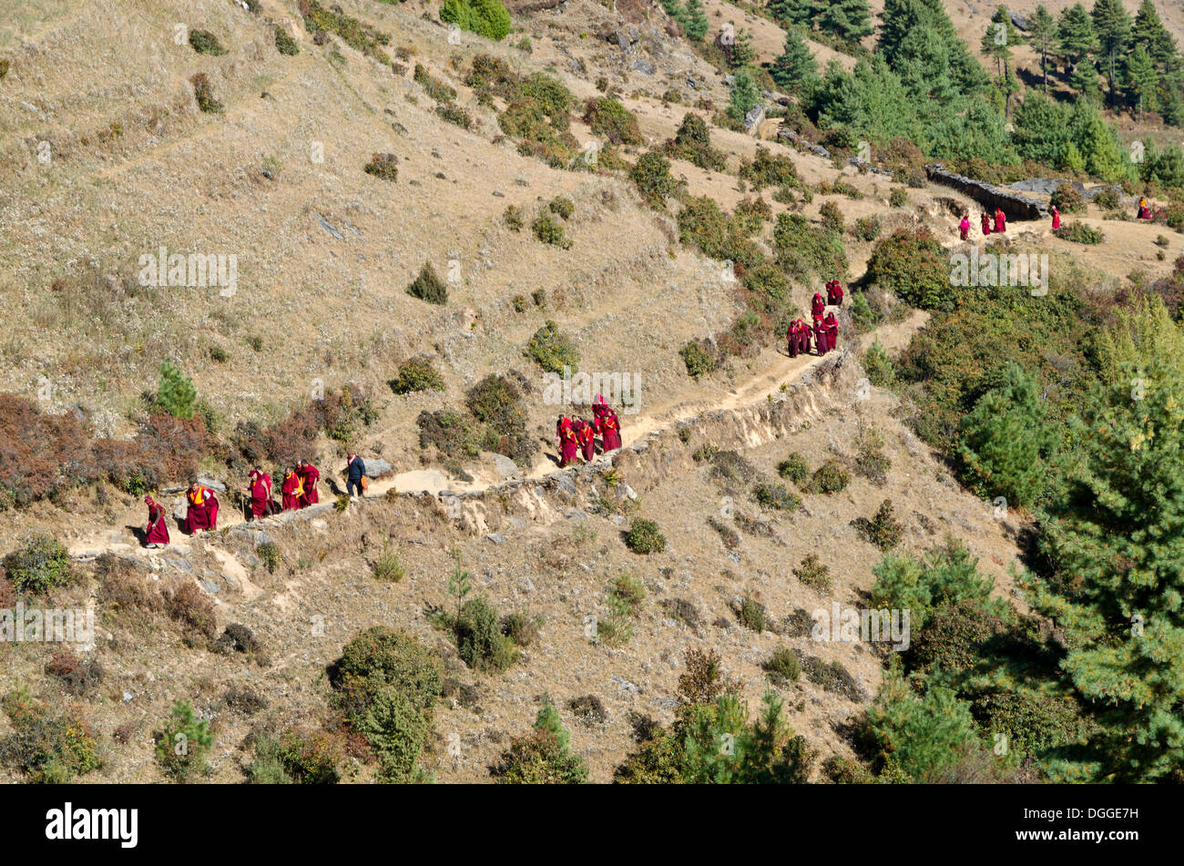 I monaci e le monache di indossare i panni di colore rosso a piedi su un piccolo sentiero lungo un pendio di montagna, Junbesi, Distretto Solukhumbu Foto Stock