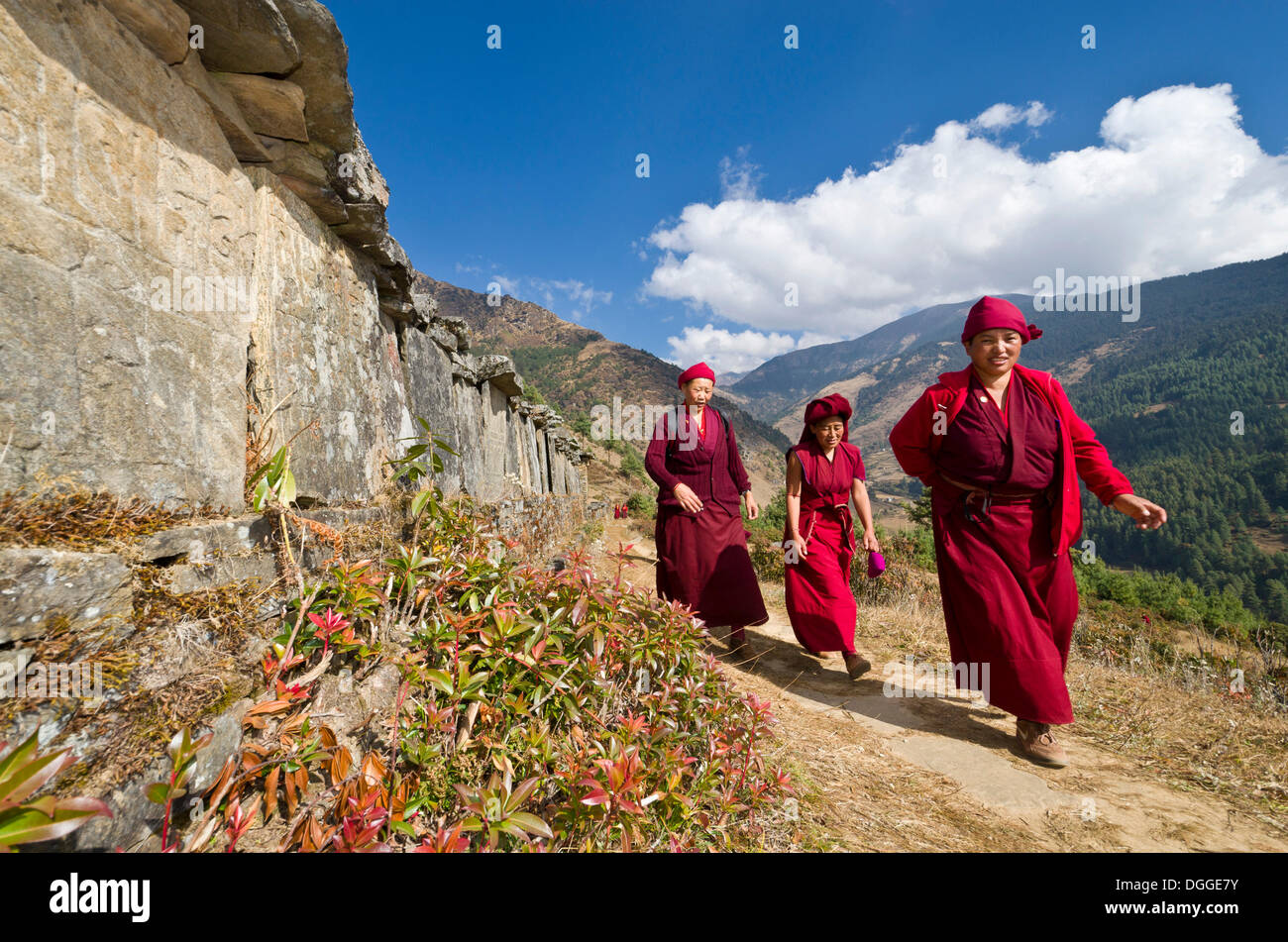 I monaci e le monache di indossare i panni di colore rosso a piedi su un piccolo sentiero lungo un pendio di montagna, Junbesi, Distretto Solukhumbu Foto Stock