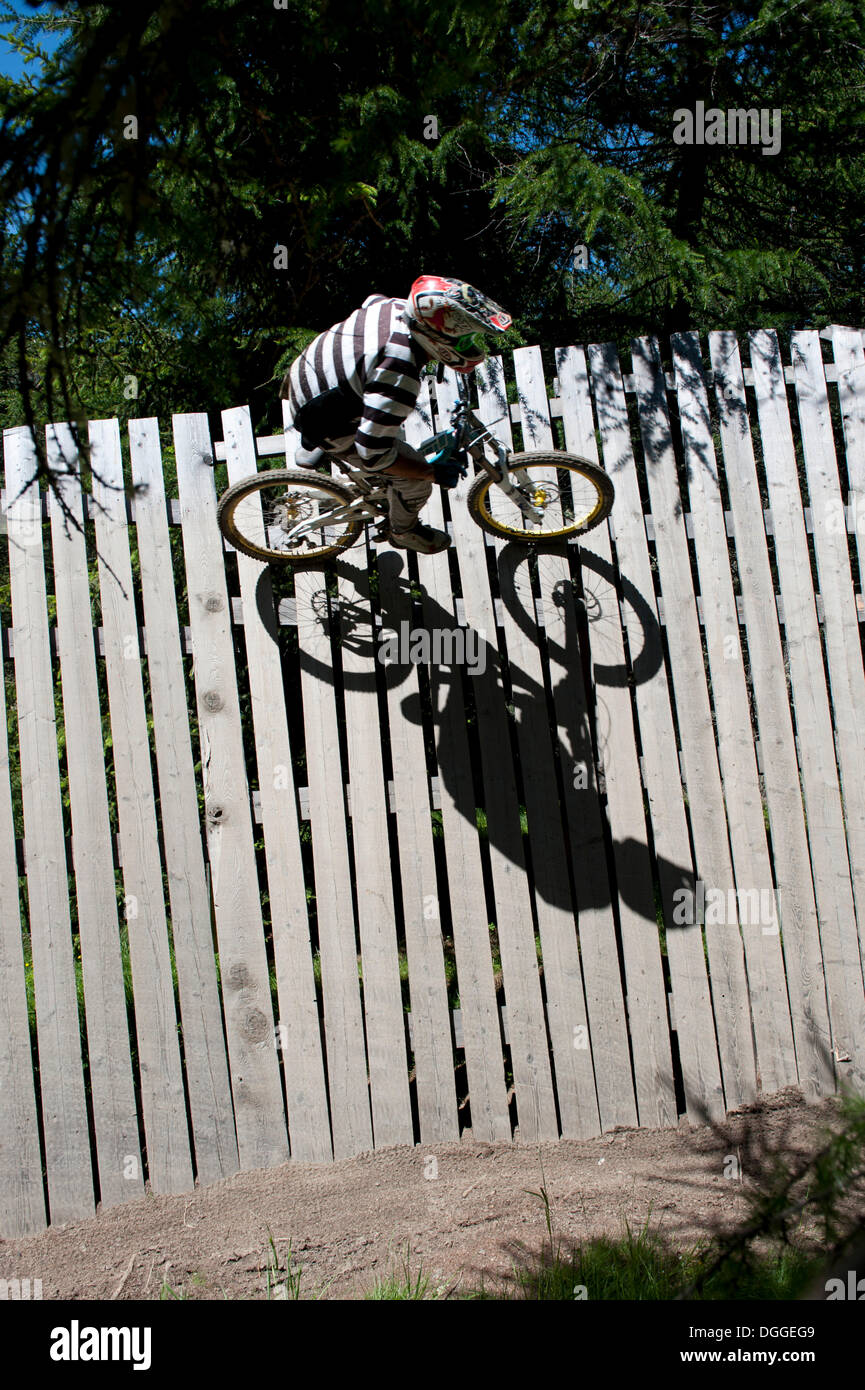 Mountainbiker, downhill, Livigno, Italia, Europa Foto Stock
