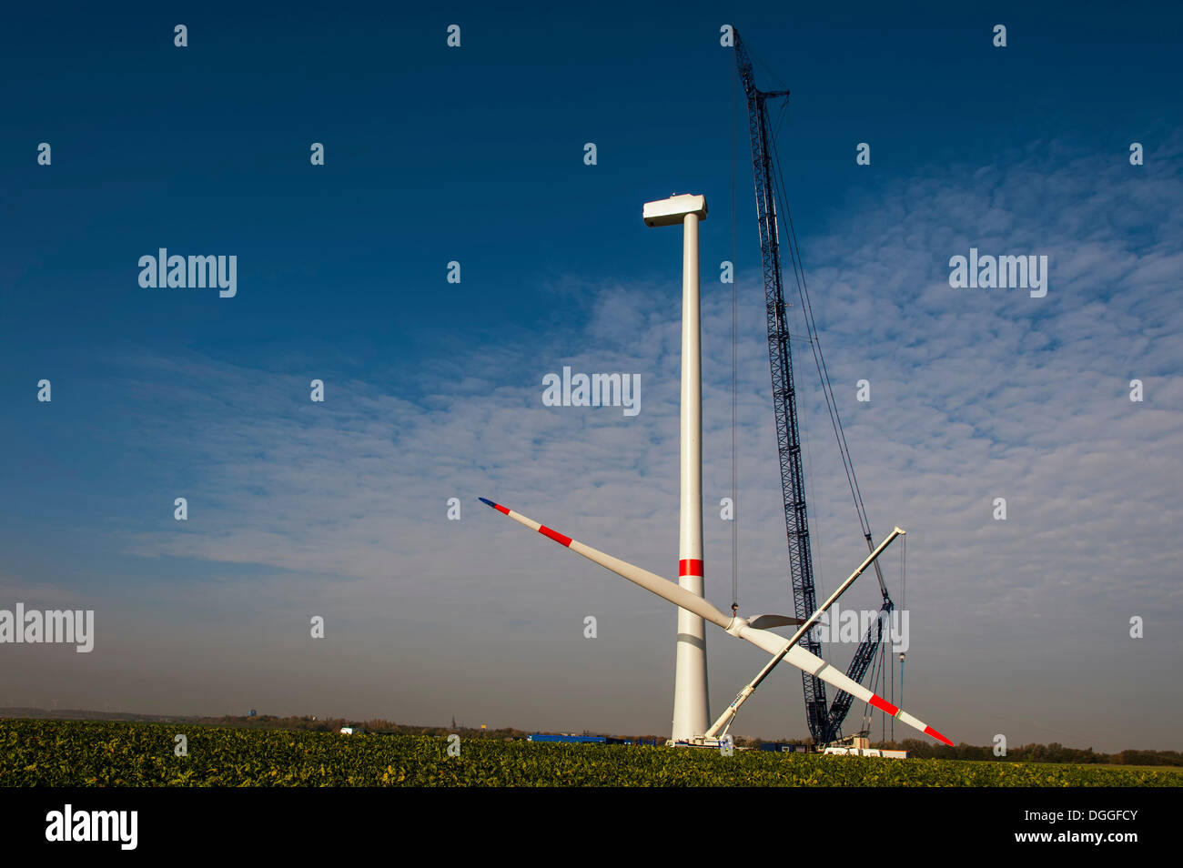 Il montaggio del rotore su una nuova turbina eolica, Grevenbroich, Renania settentrionale-Vestfalia Foto Stock