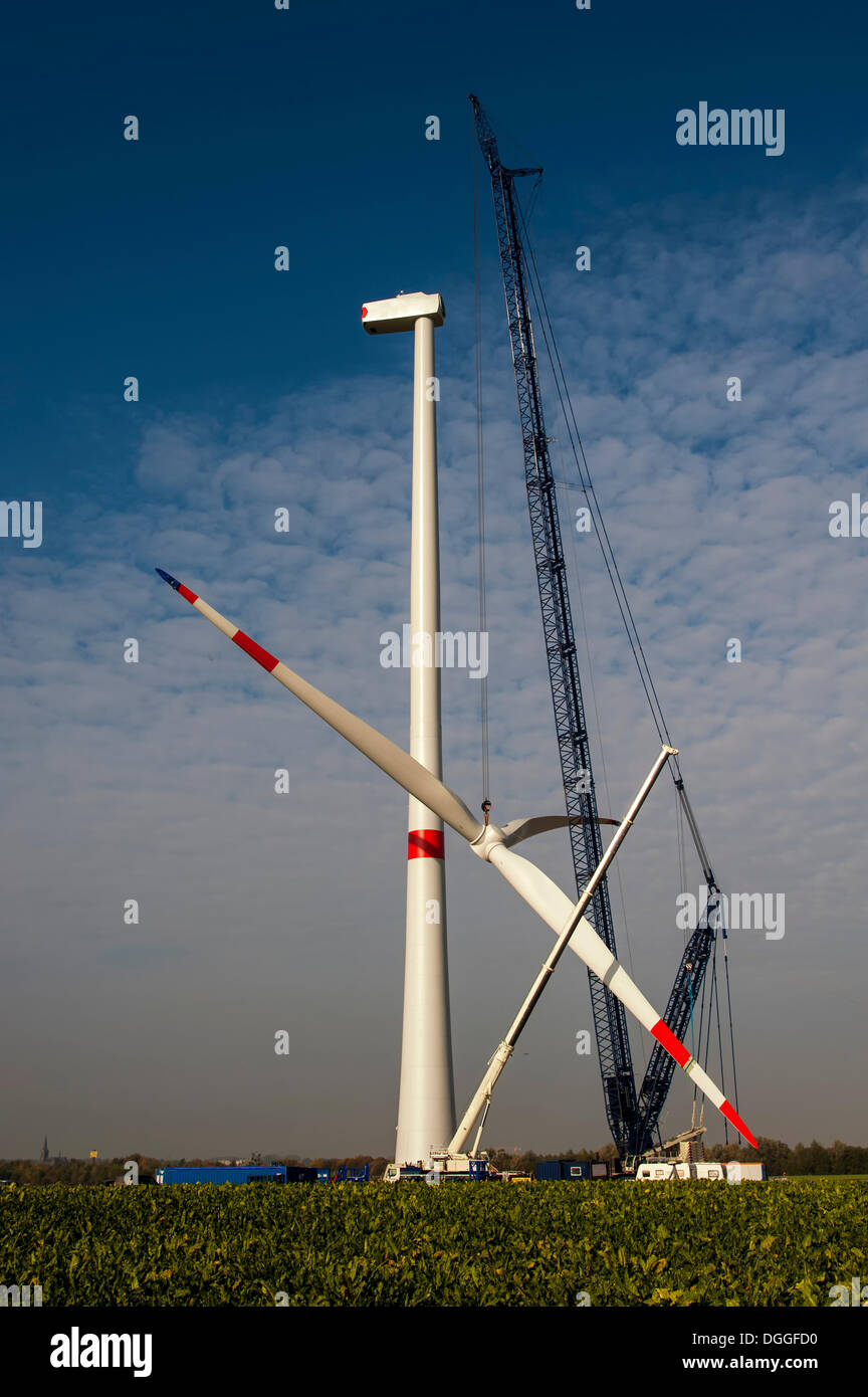 Il sollevamento con gru le pale del rotore di una nuova turbina eolica, Grevenbroich, Renania settentrionale-Vestfalia Foto Stock