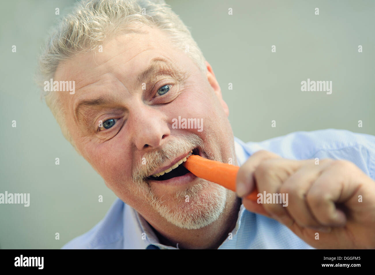 Senior di mangiare una carota con piacere, Grevenbroich, Renania, Renania settentrionale-Vestfalia, Germania Foto Stock