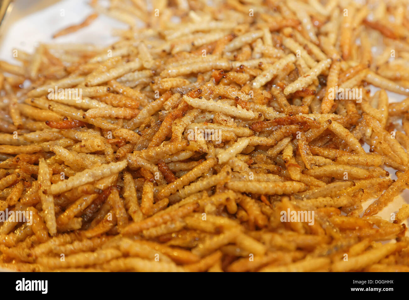 Vermi fritti in un mercato thailandese, Hang Chat, Lampang, Thailandia del Nord della Thailandia Foto Stock