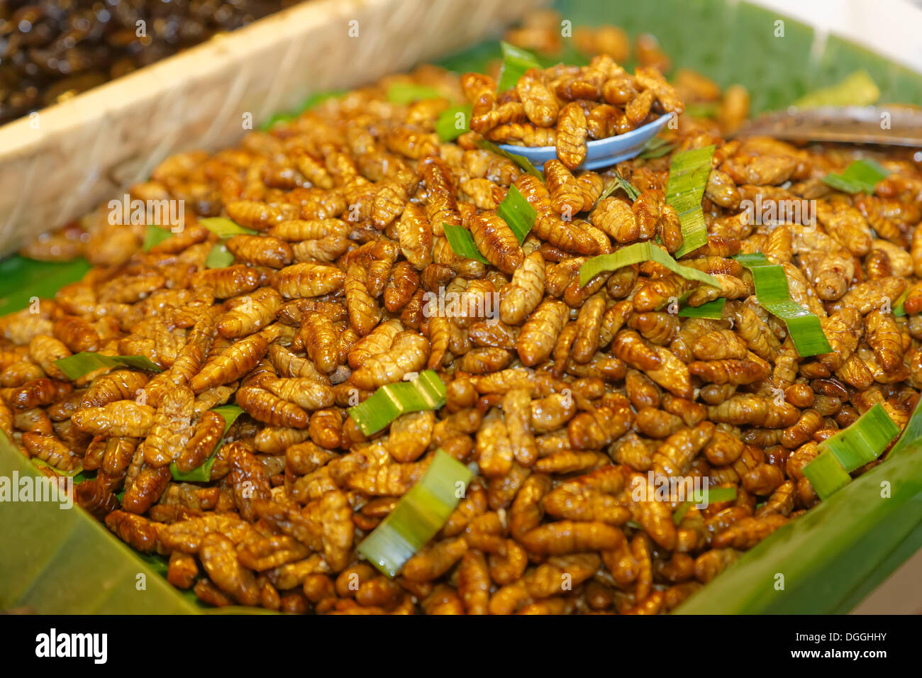 Frittura di bachi da seta in un mercato thailandese, Hang Chat, Lampang, Thailandia del Nord della Thailandia Foto Stock