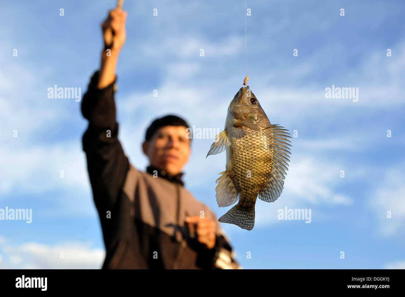 Uomo indigeni con un pesce sul gancio, nella comunità di Mbya-Guarani indiani, Campito, Caaguazú Reparto, Paraguay Foto Stock