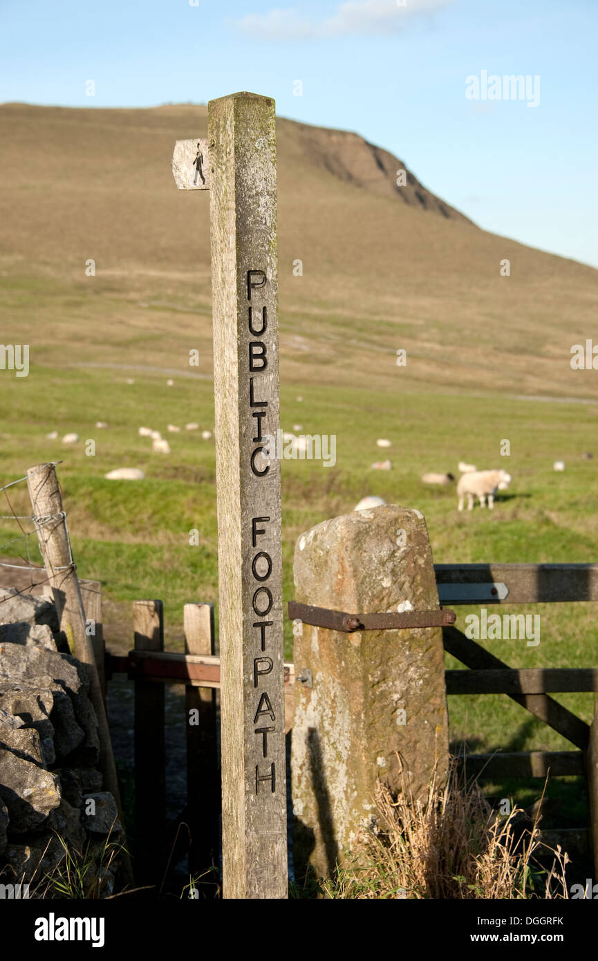 Sentiero pubblico pecore colline del Peak District UK Foto Stock