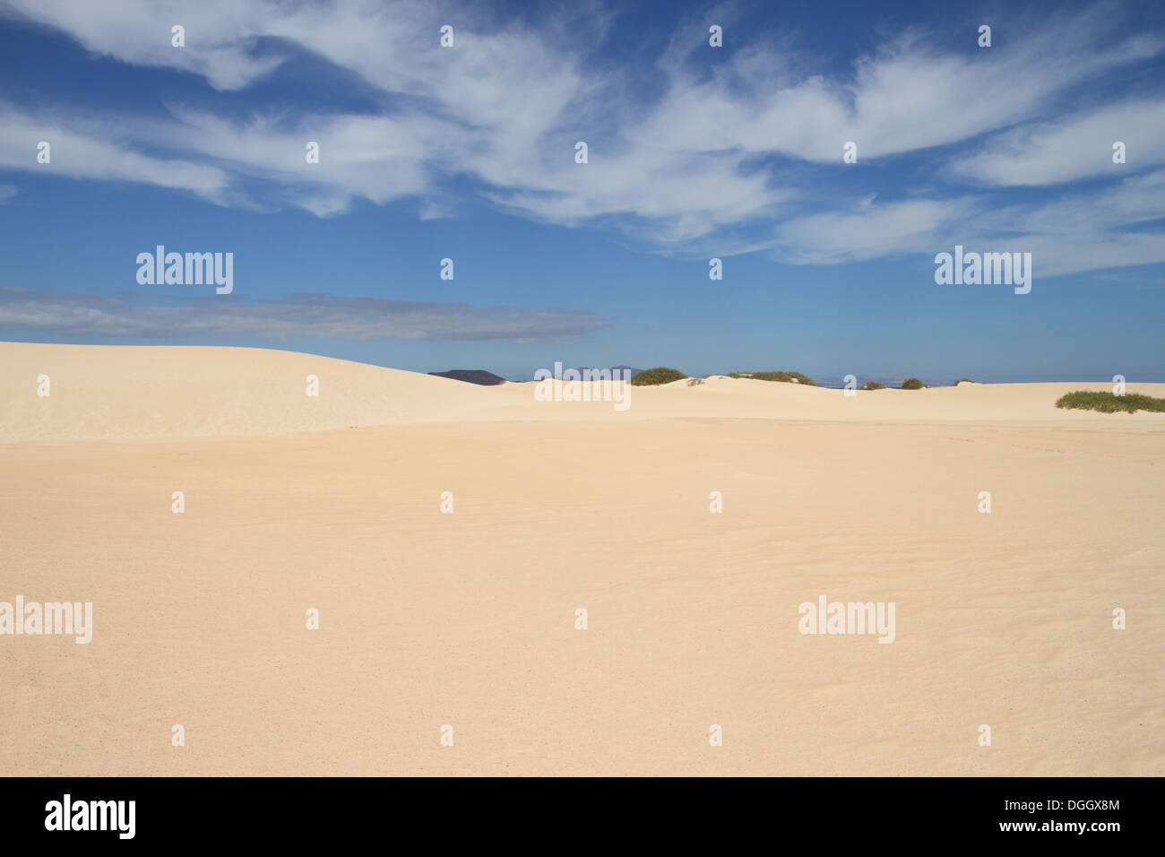 Fuerteventura: Dunas de Corralejo / Dune di Corralejo Foto Stock