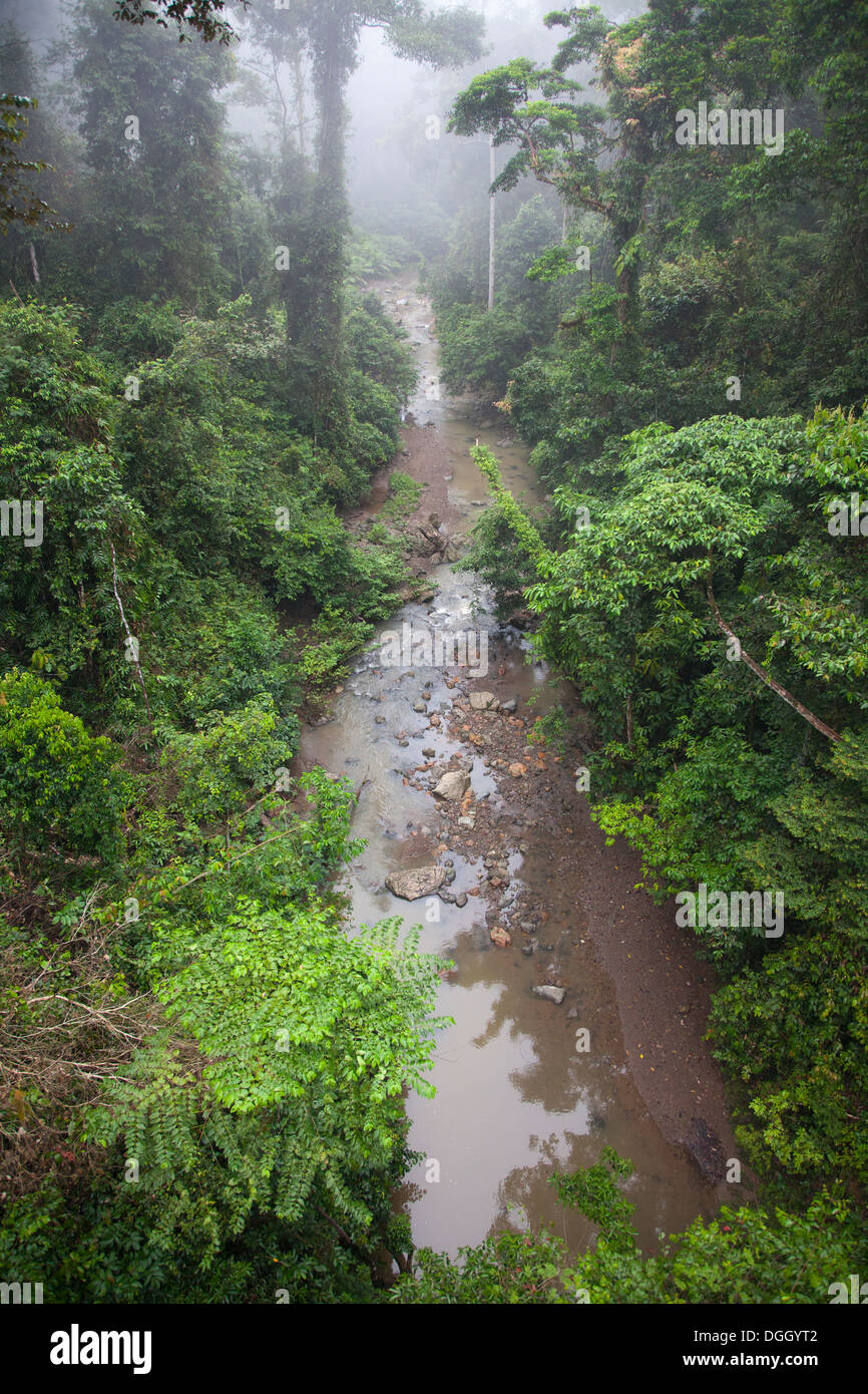Flusso che scorre attraverso la foresta pluviale tropicale di Dipterocarp in Borneo Foto Stock
