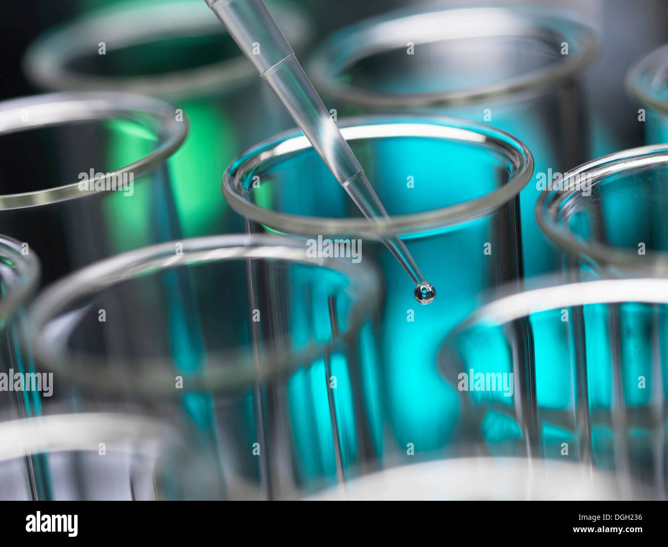 Chimica Analitica - campione di essere pipettato in provetta per analisi in laboratorio Foto Stock