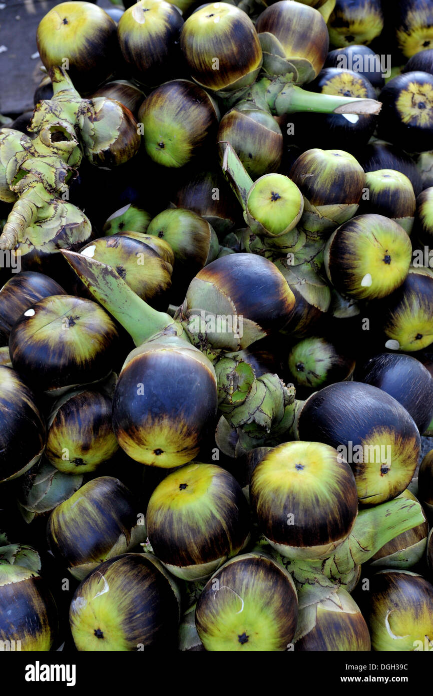 Frutti della Thailandia - Suger Palm (mare noce di cocco) Foto Stock