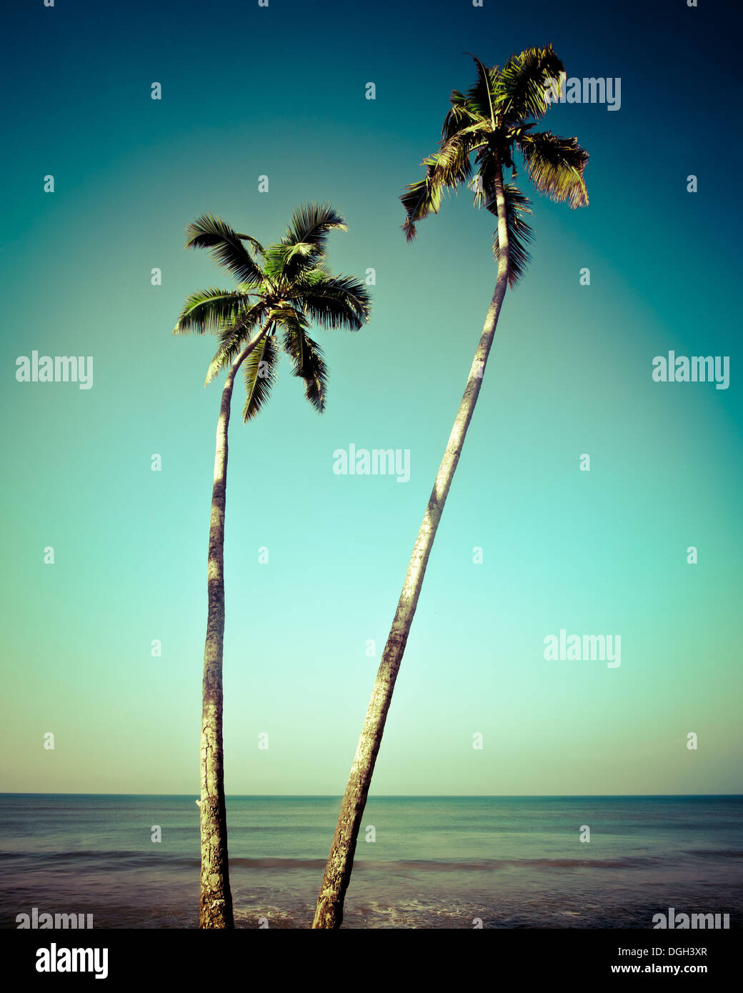 Bellissimo paesaggio tropicale con vista oceano e palme sotto il cielo blu. Immagine in stile vintage. India Foto Stock