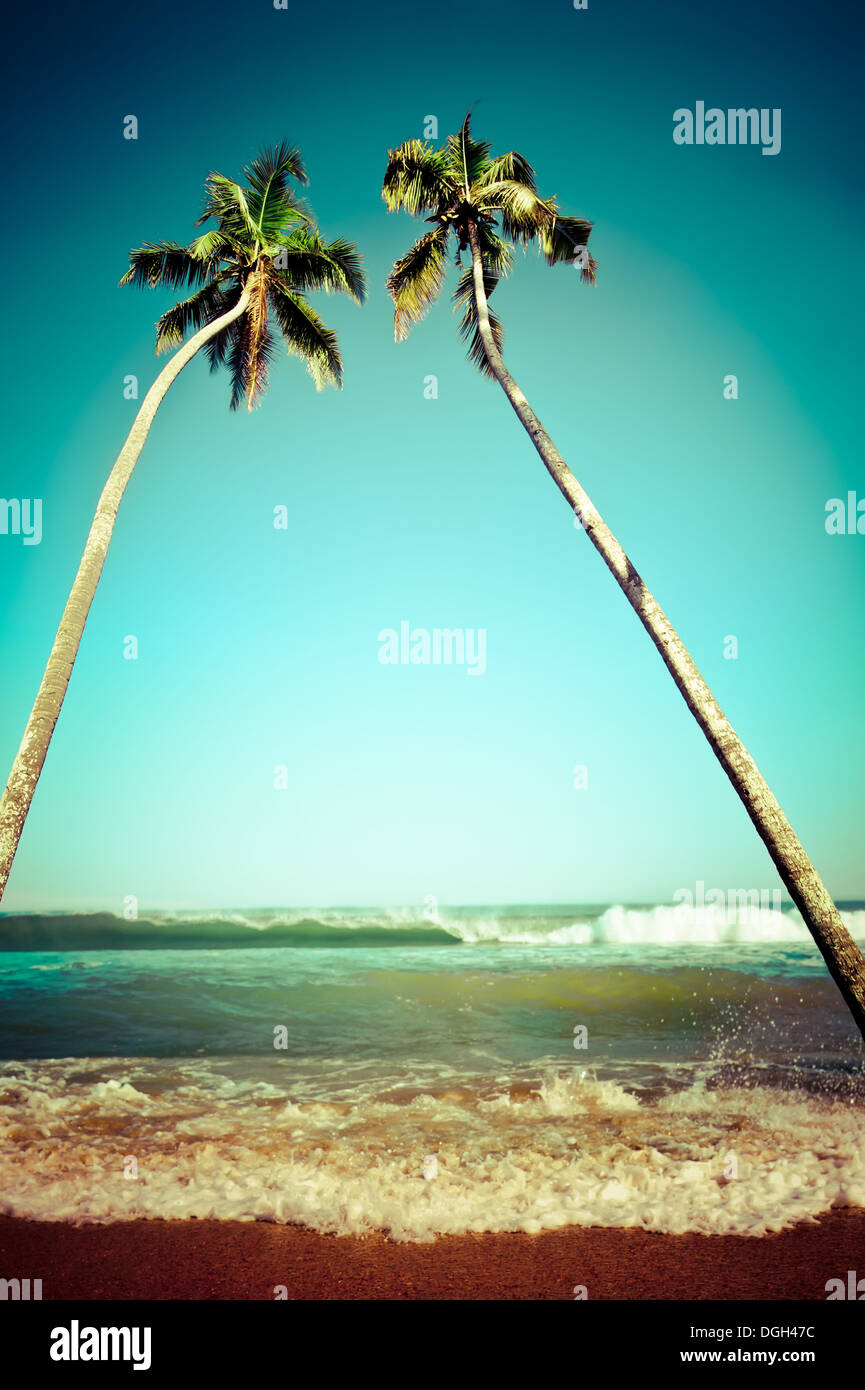 Bellissimo paesaggio tropicale con spiaggia dell'oceano e palme sotto il cielo blu. Immagine in stile vintage. India Foto Stock