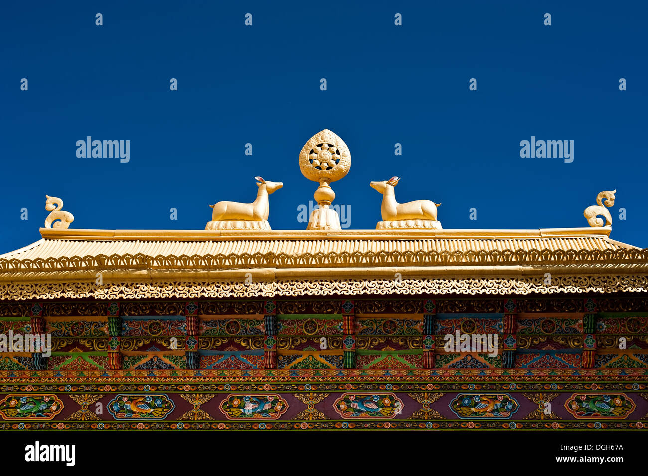 Simboli buddista: Dharma-ruota e cervi decorato sul tetto sotto il cielo blu a Thiksey Gompa. India, Ladakh, Monastero di Thiksey Foto Stock