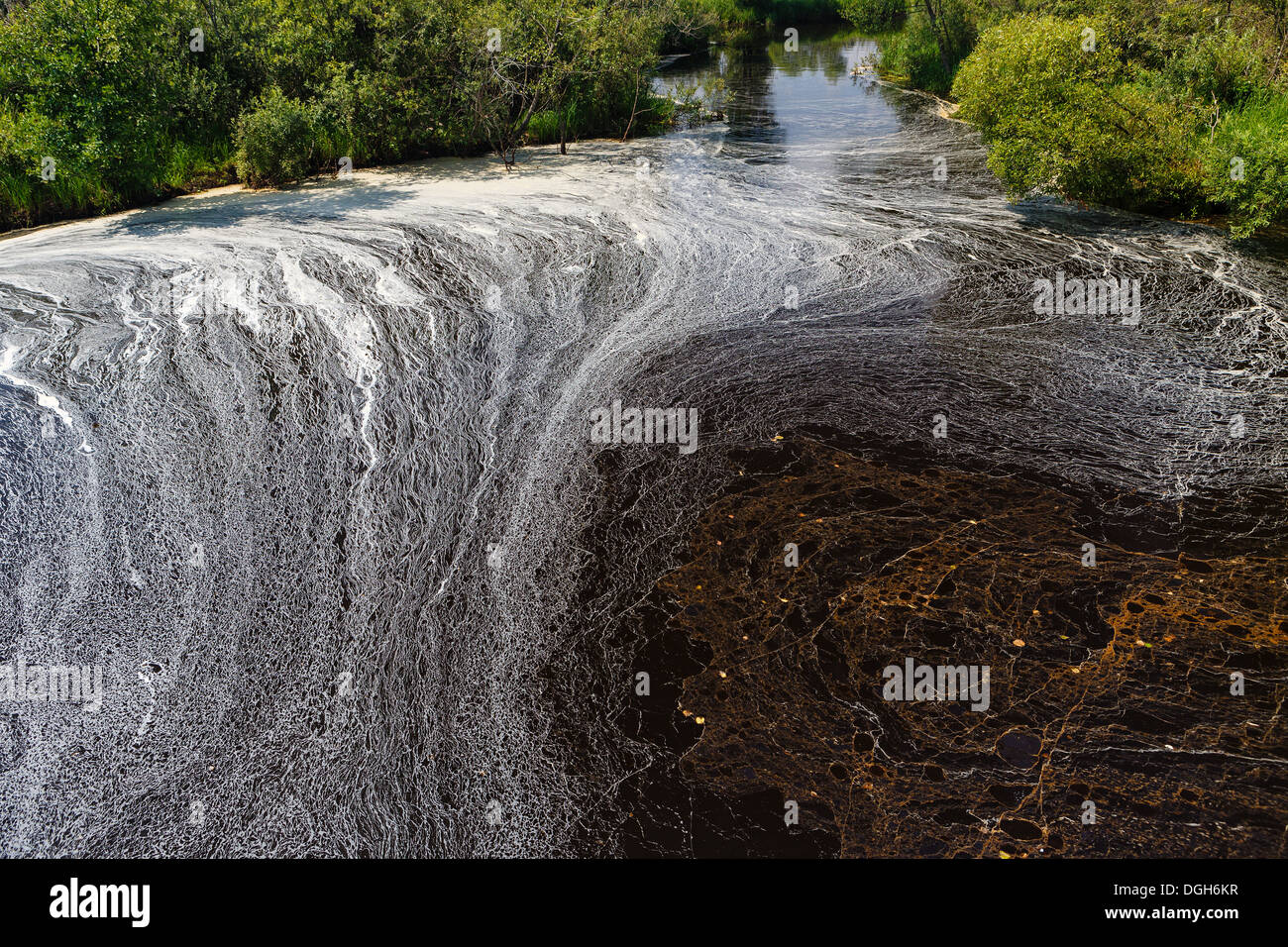 Modello sull'acqua formata da schiuma e alghe Foto Stock Modello sull'acqua formata da schiuma e alghe Foto Stock