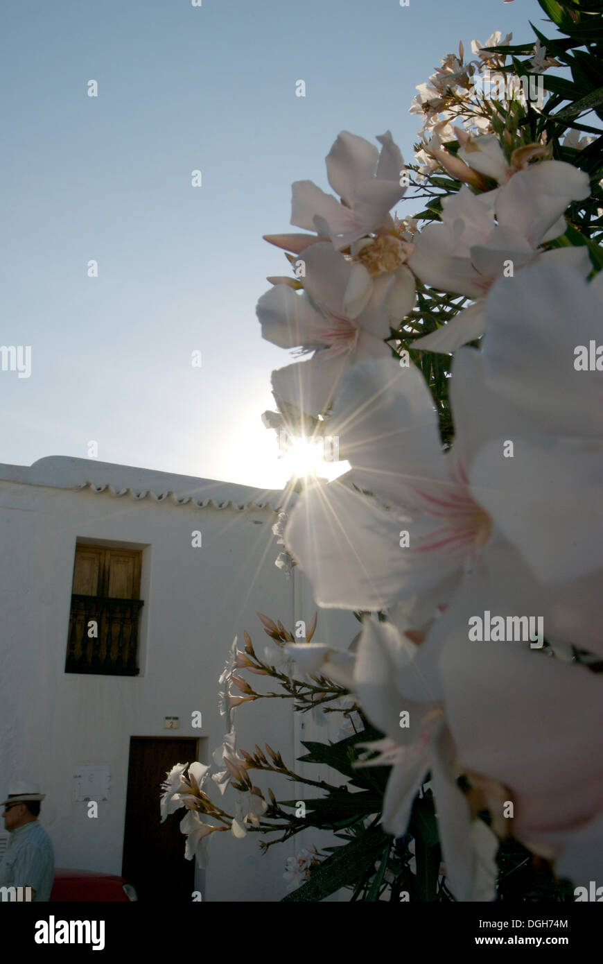 San Miguel de Balansat, Ibiza Foto Stock