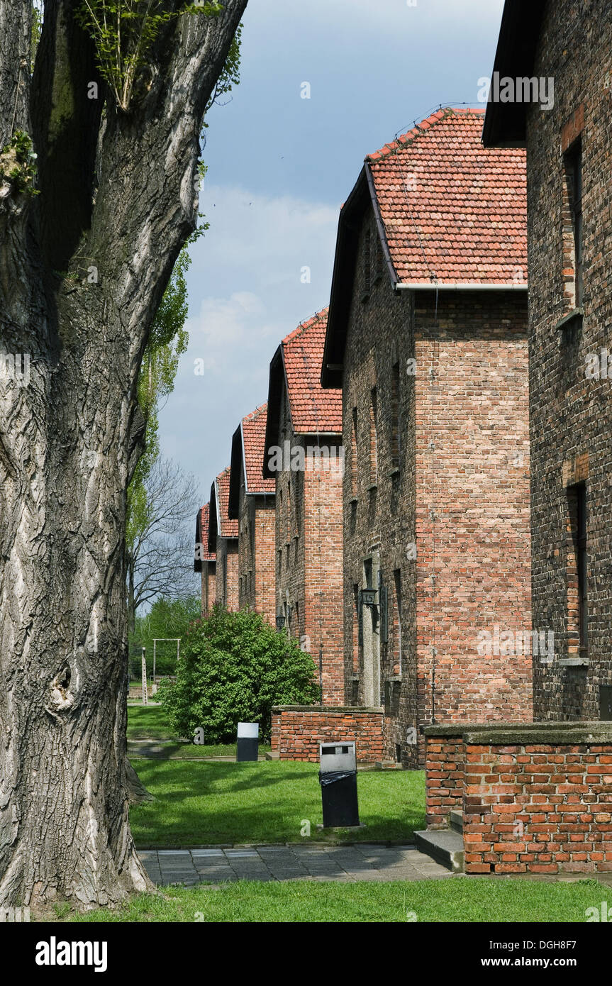 Prigioniero alloggiamento, in concentrazione e campo di sterminio di Auschwitz, Polonia Foto Stock