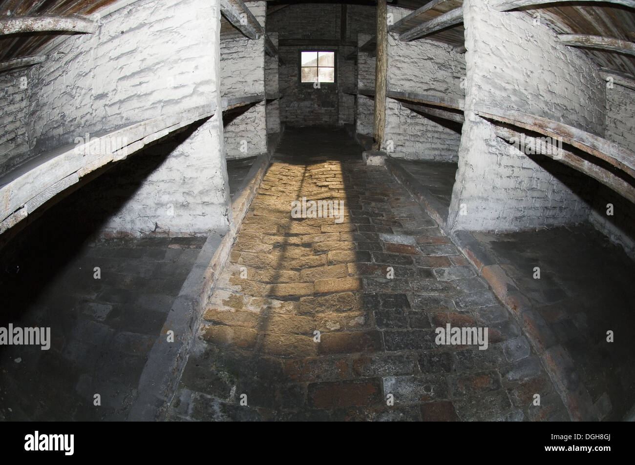 I letti all'interno di Prigioniero alloggiamento, in concentrazione e campo di sterminio di Auschwitz e Birkenau, Polonia Foto Stock