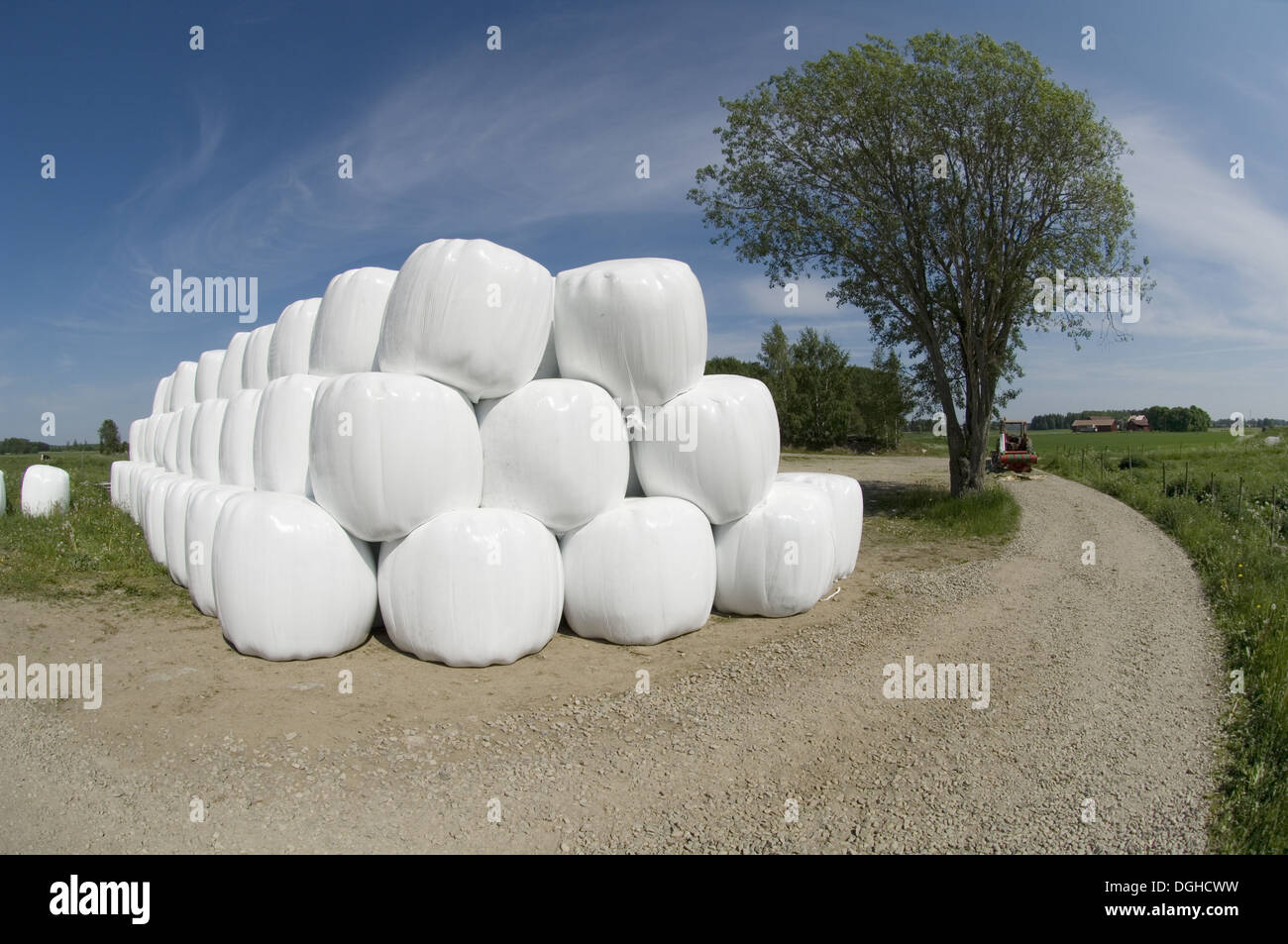 Avvolte in plastica rotonda di balle di insilato, impilati a bordo della fattoria via, Svezia Foto Stock