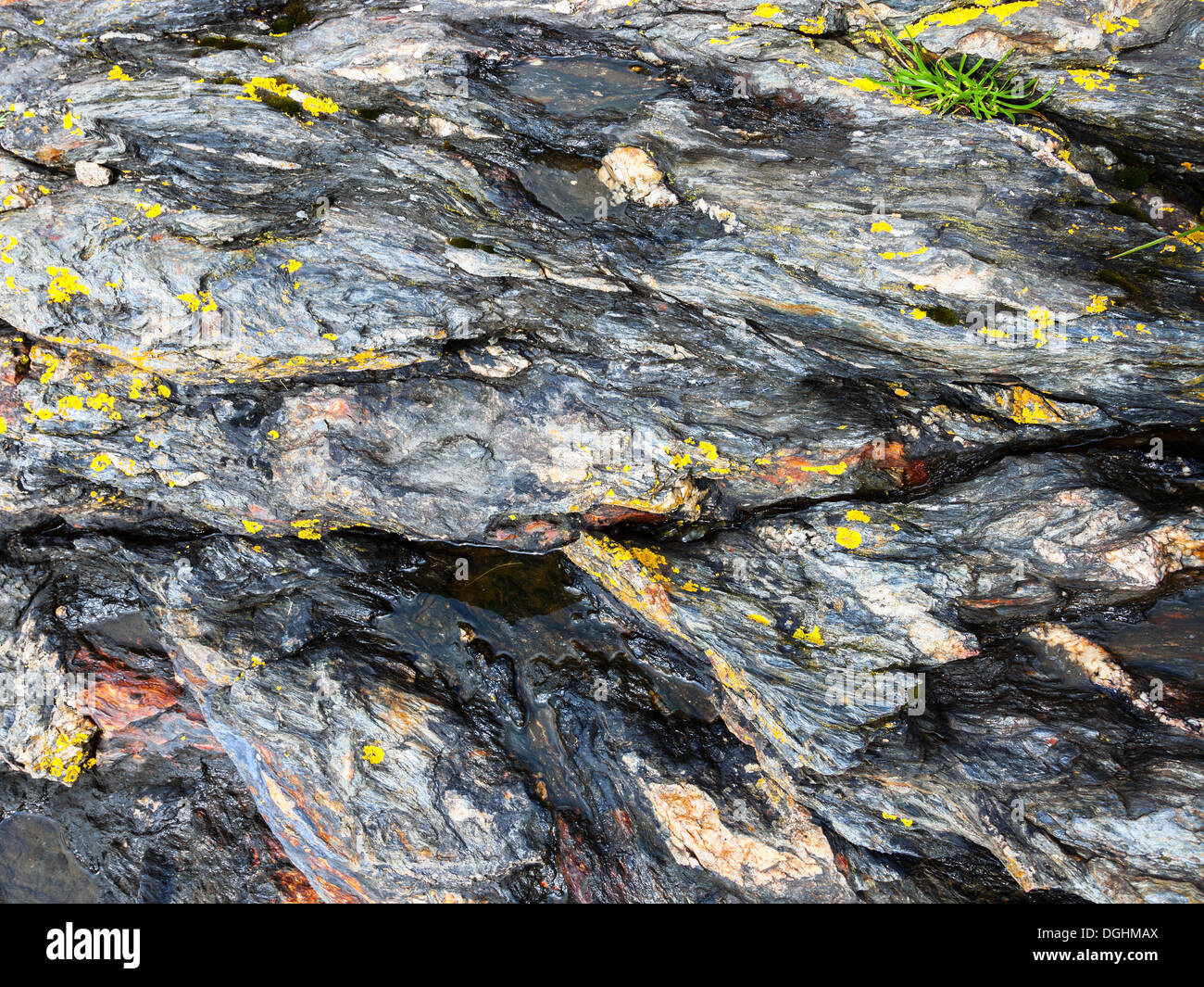 Dettaglio delle texture di roccia closeup sfondo. Foto Stock