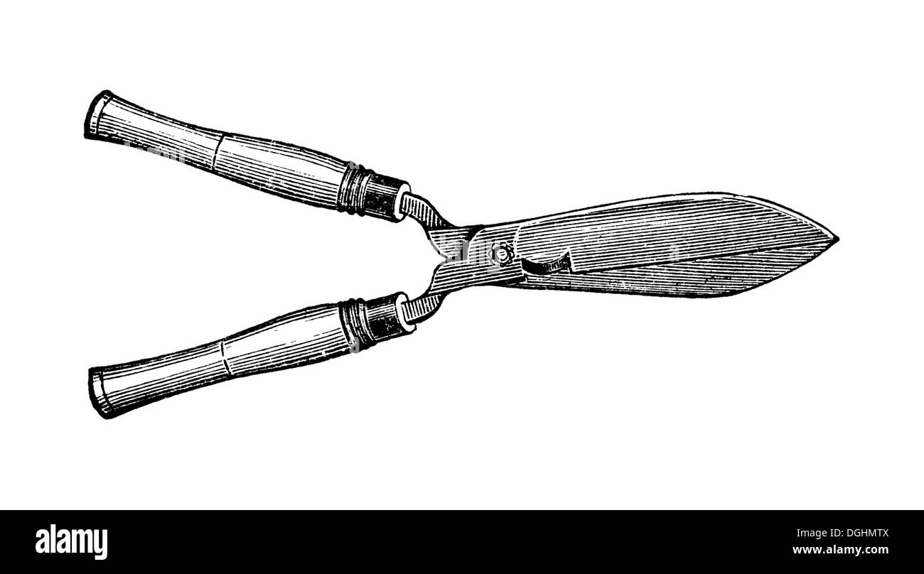 Hedge clippers, illustrazione storico, Theodor Lange, generale illustrato libro giardino, Volume 1, Lipsia 1902, p. 448 Foto Stock