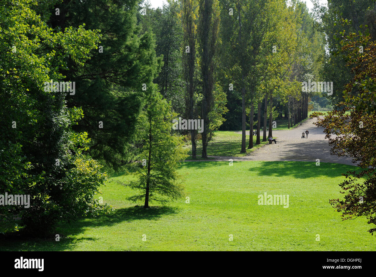 Parco sull Ilm, Weimar, Turingia, Germania Foto Stock