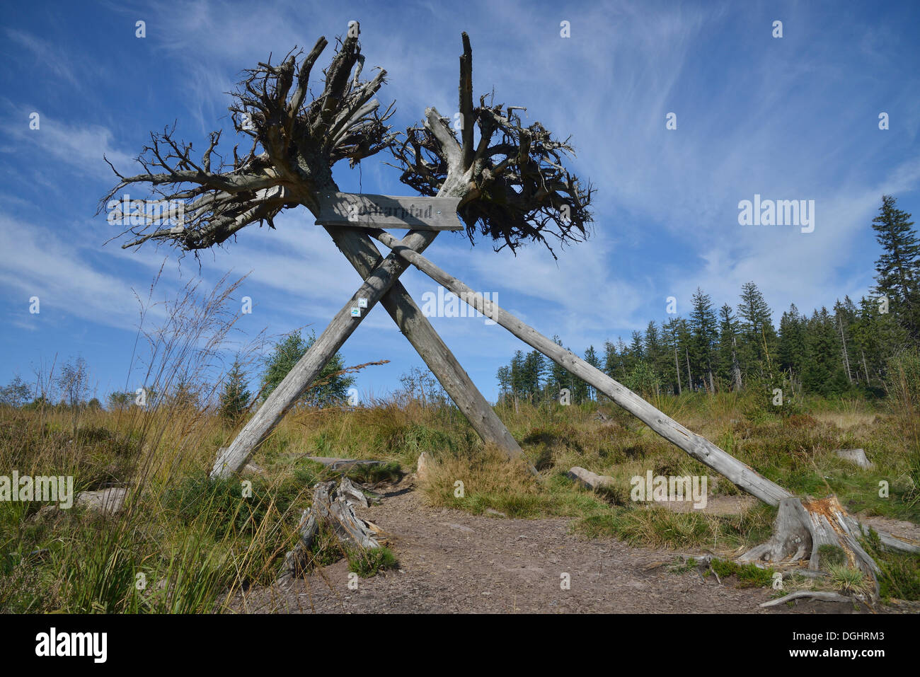 Inizio del sentiero Lotharpfad a Schliffkopf montagna alla Foresta Nera High Road, sentiero di avventura attraverso una striscia di Foto Stock