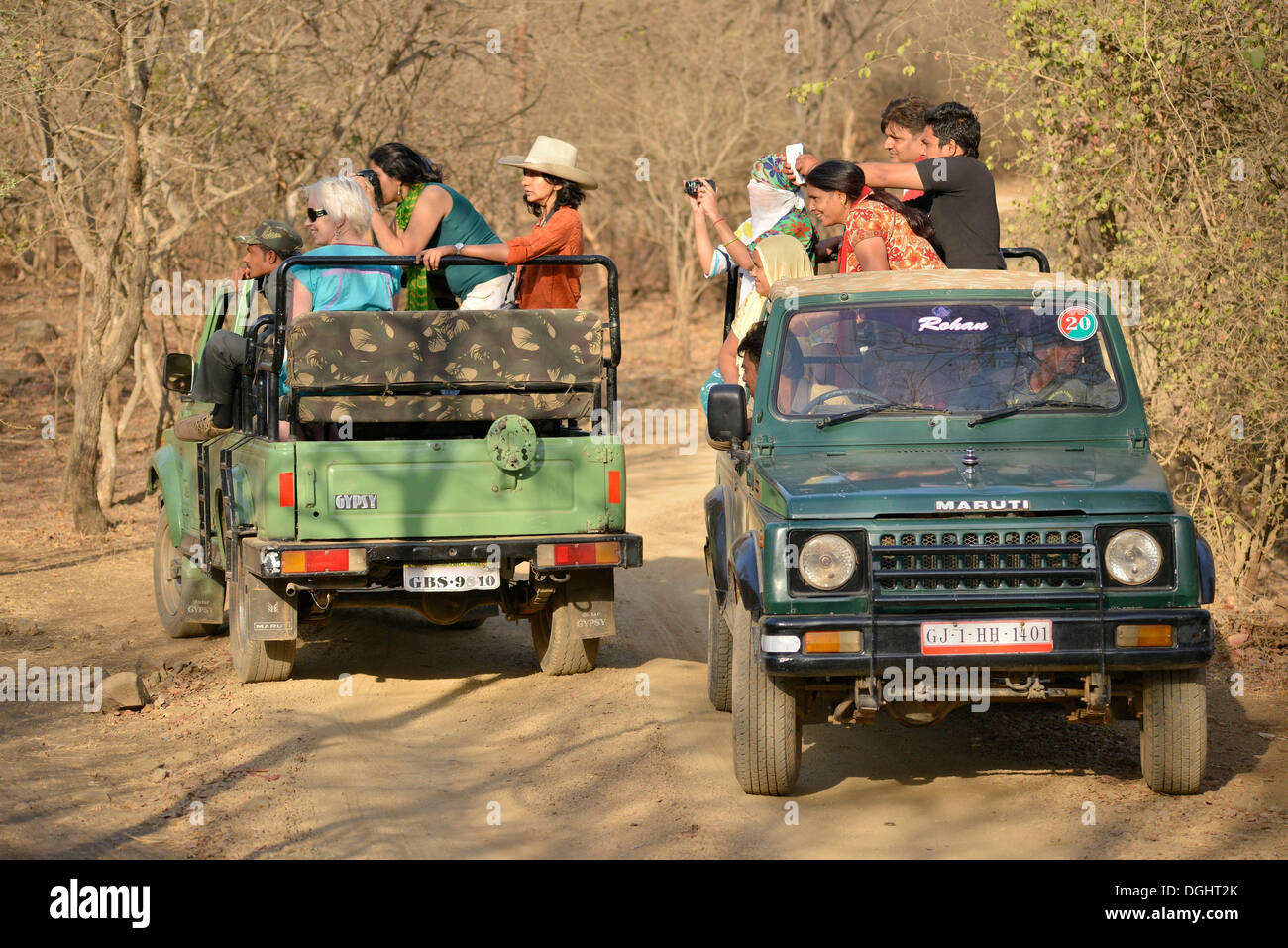 I turisti su veicoli di safari, Gir Forest National Park, Gir Santuario, Gujarat, India Foto Stock
