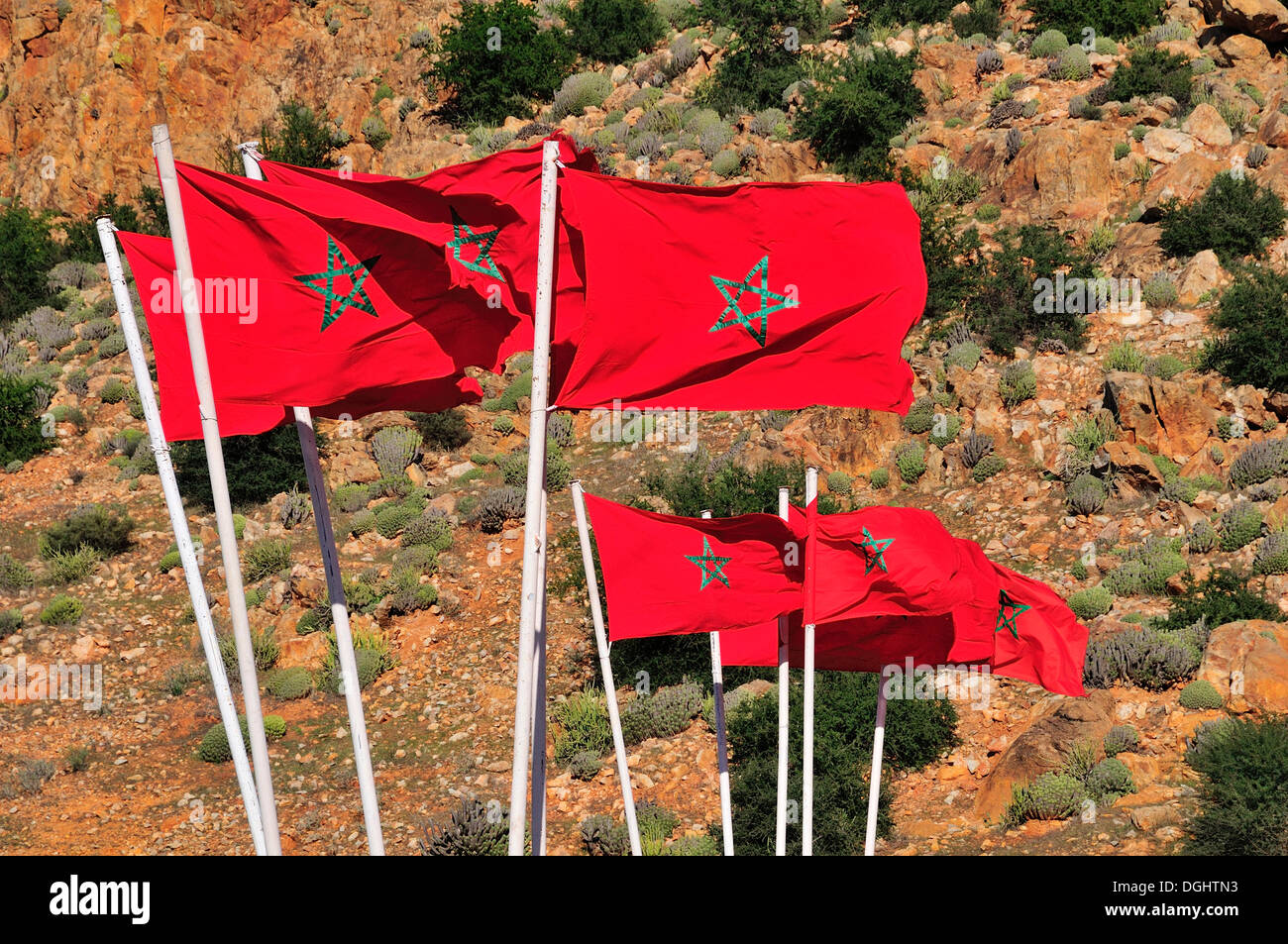 Bandiere marocchine, Marocco, Africa Foto Stock