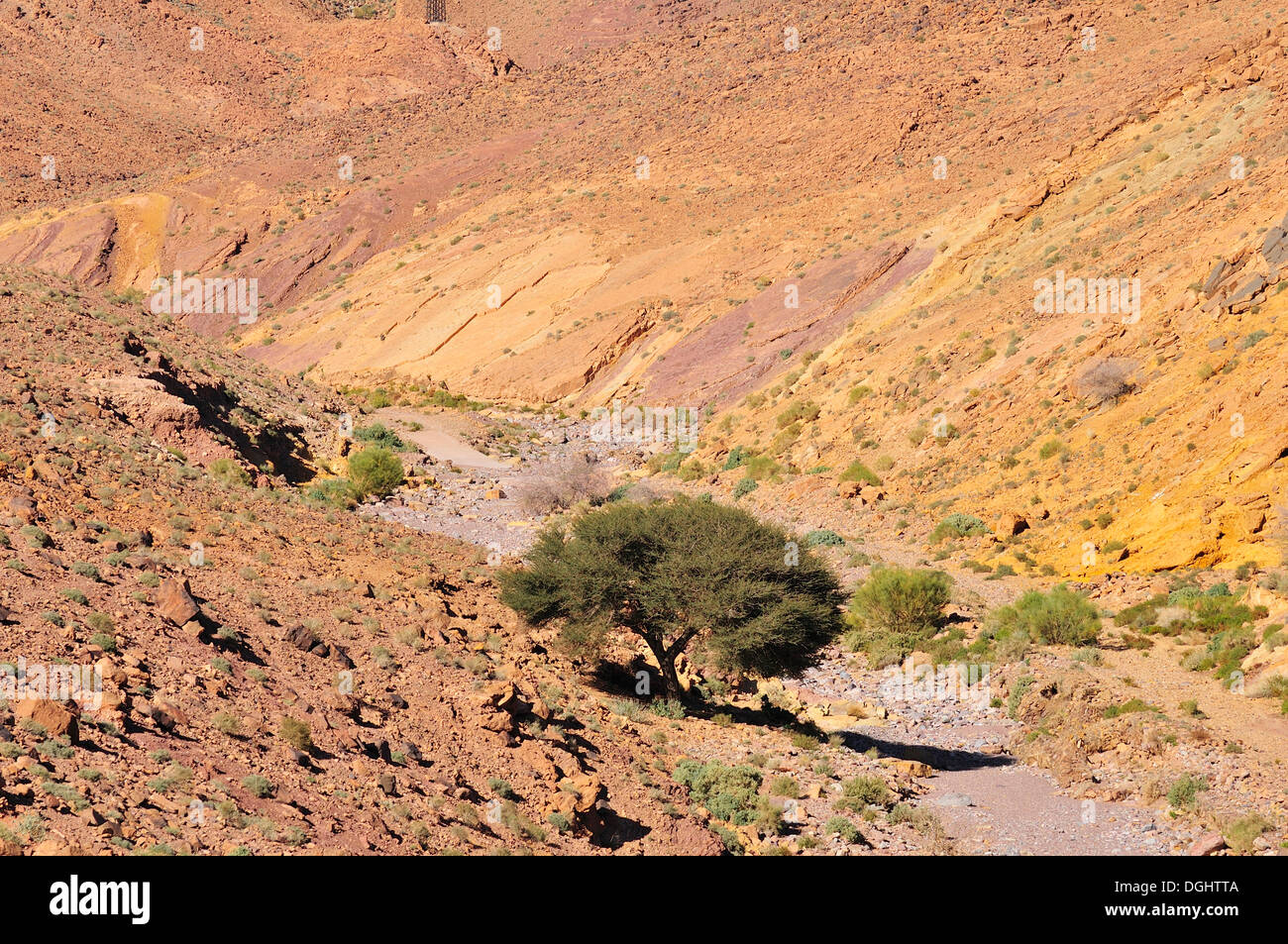 Tipico paesaggio con un letto asciutto del fiume, Oued, Anti-Atlas, Souss-Massa-regione Draâ, Marocco Foto Stock