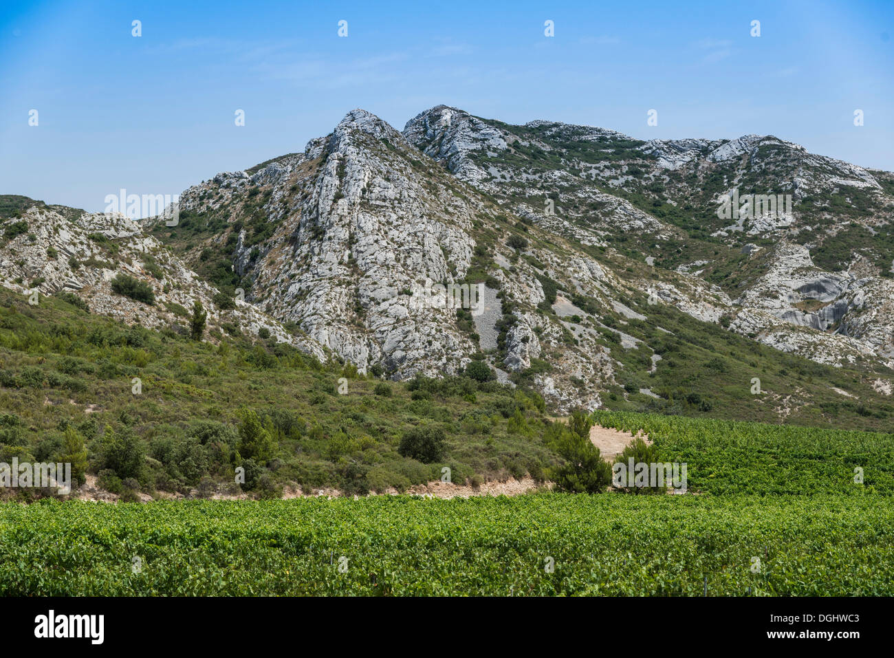Premio Chaîne des Alpilles, mountain range, con vigneti, Les Baux-de-Provence, Provence-Alpes-Côte d'Azur, Francia, Europa Foto Stock