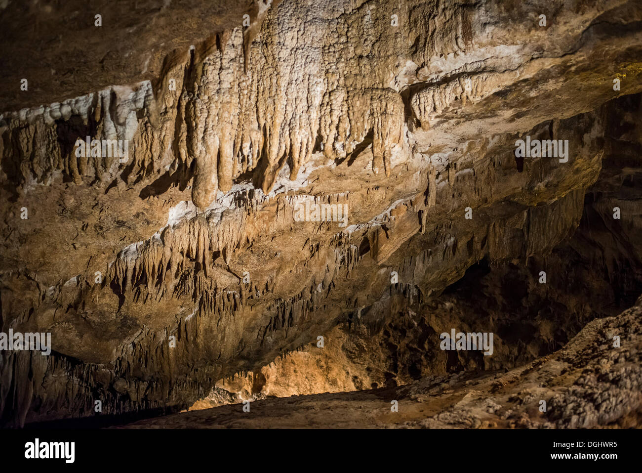 Grotte di Marble Arch, Tribunale di Firenze Demesme County Fermanagh, Irlanda del Nord, Regno Unito, Europa Foto Stock