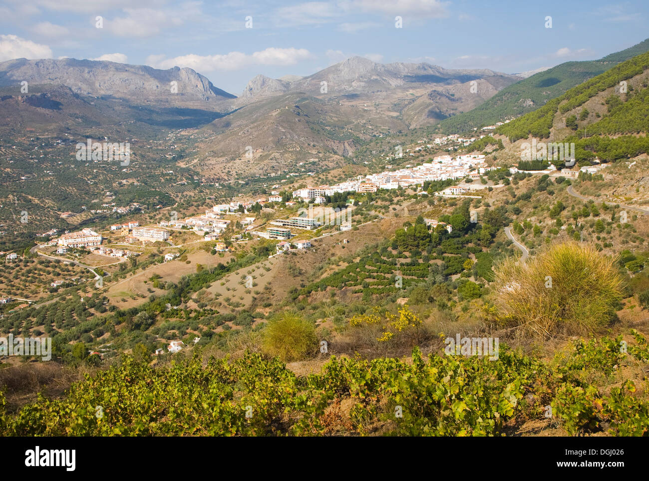 Pueblos Blancos villaggio bianco di Alcaucin, provincia di Malaga, Spagna Foto Stock