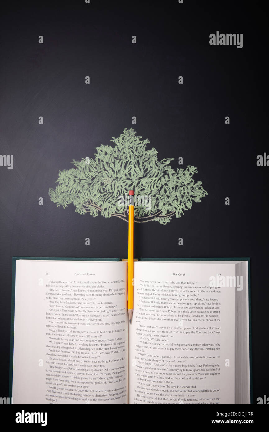 Un Chalk board con struttura ad albero e un libro Foto Stock