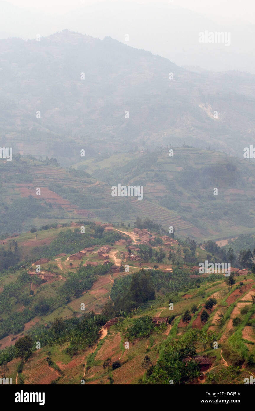 Visualizzare fertili terrazze cascina in Ruanda centrale tra Kigali e Ruhengiri vicino le montagne Virunga la terra delle mille colline Foto Stock