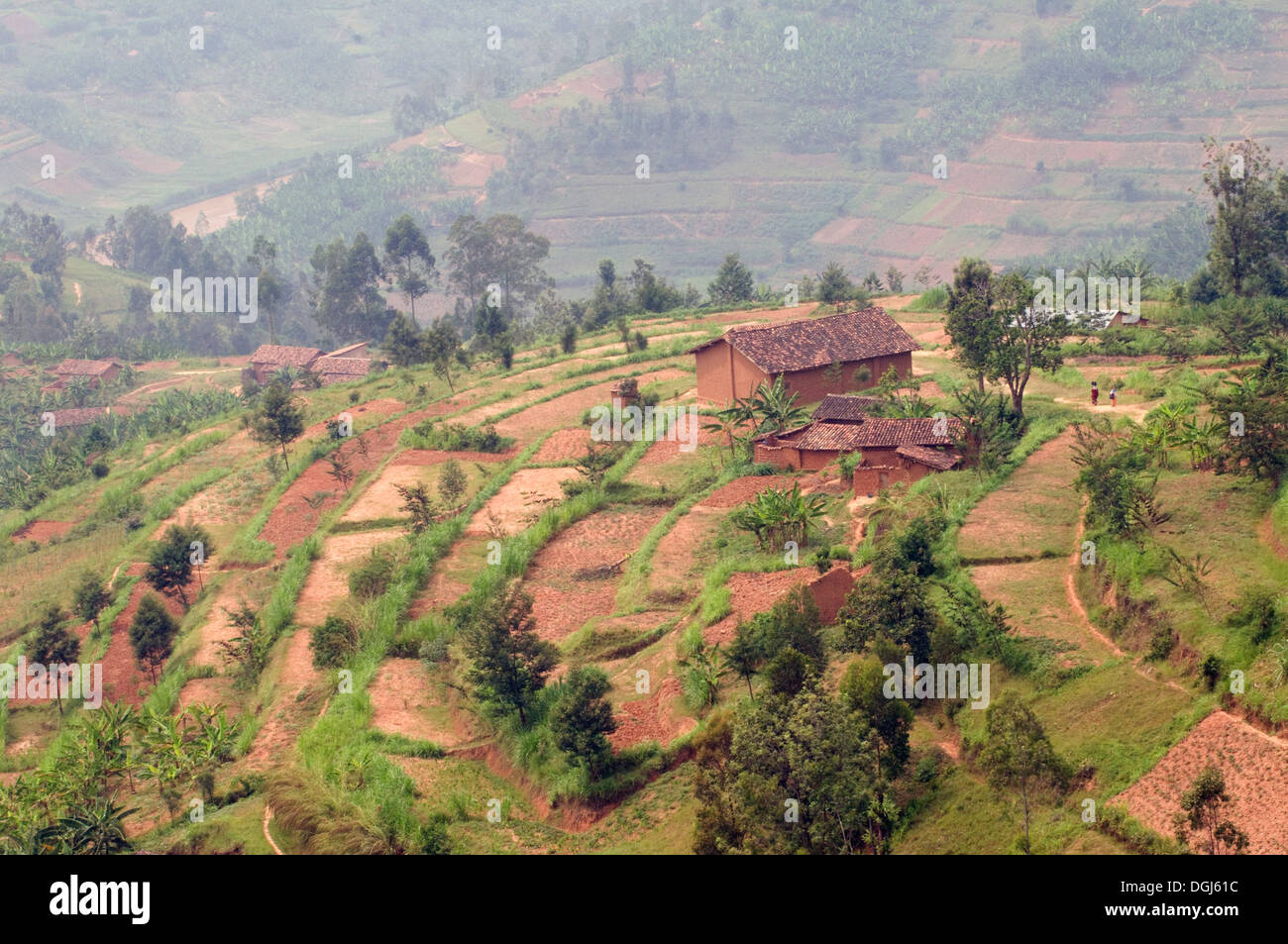 Visualizzare fertili terrazze cascina in Ruanda centrale tra Kigali e Ruhengiri vicino le montagne Virunga la terra delle mille colline Foto Stock