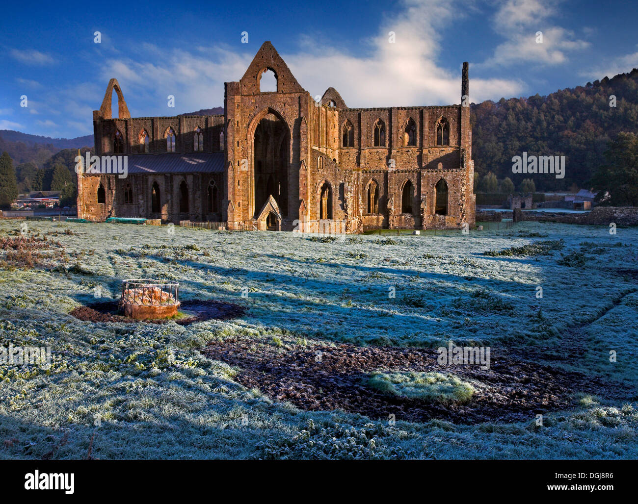 Una vista di Tintern Abbey. Foto Stock