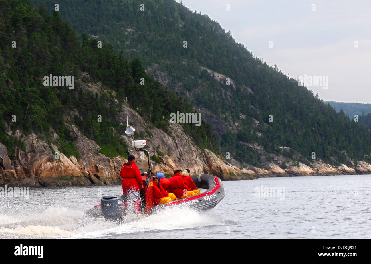 I turisti in un gommone Zodiac barca dall'Otis Escursioni Inc. azienda sul fiordo di Saguenay Fjord, Tadoussac, Canada Foto Stock